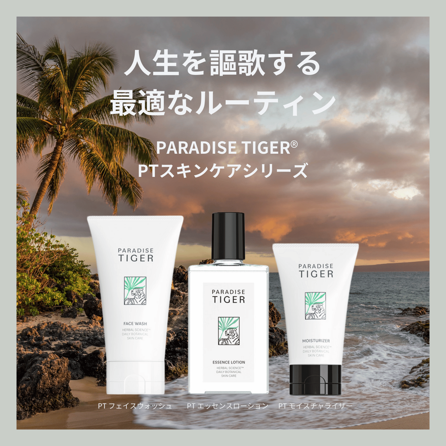 PTフェイスウォッシュ